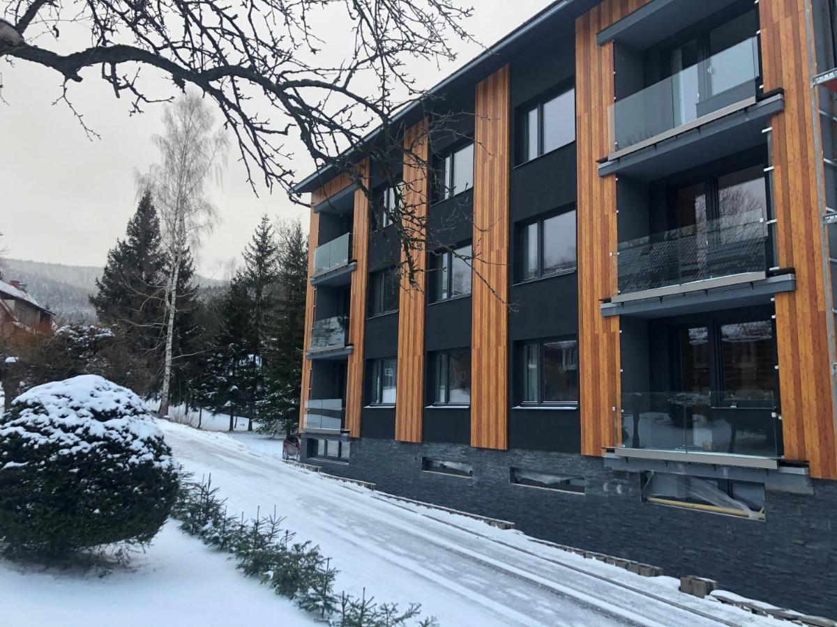 Apartman Roky 6 Рокитнице над Ийзероу Екстериор снимка