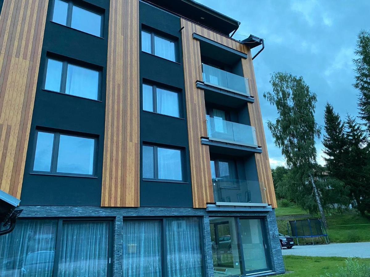 Apartman Roky 6 Рокитнице над Ийзероу Екстериор снимка